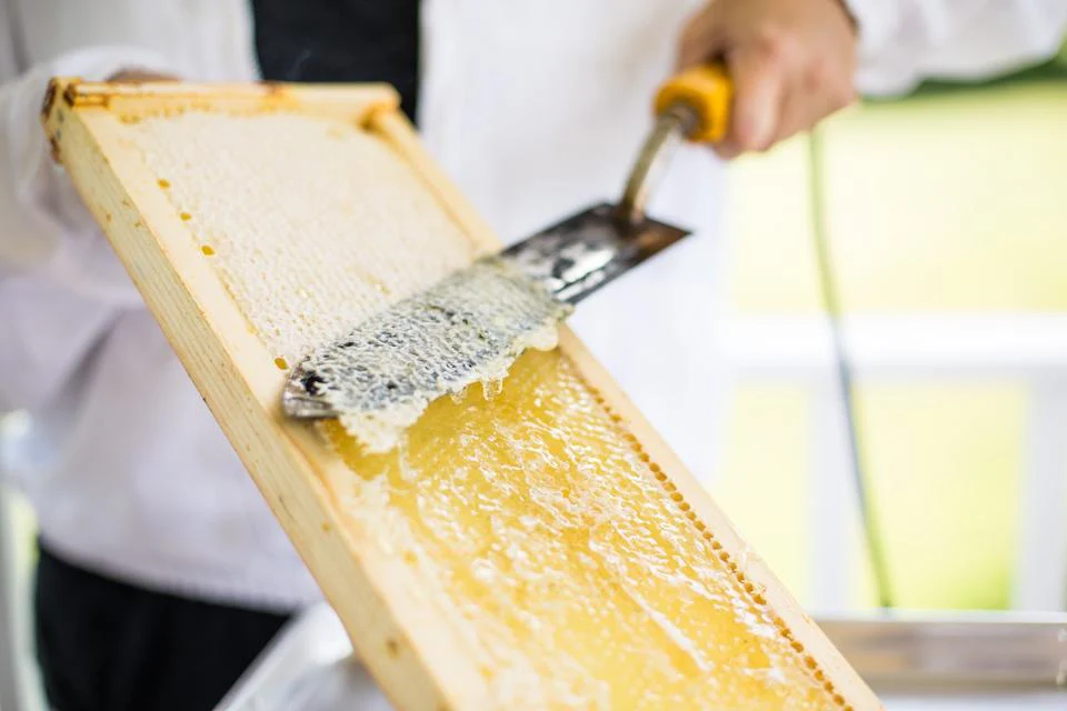 Welcome to Our Store